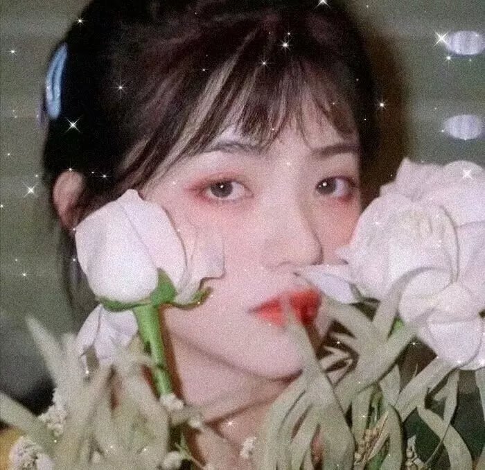 收集男人的女人